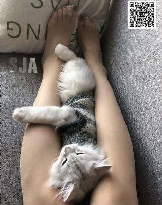 看免费的电视剧的软件app_午夜激情